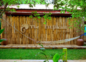 The Elephant Next-Door